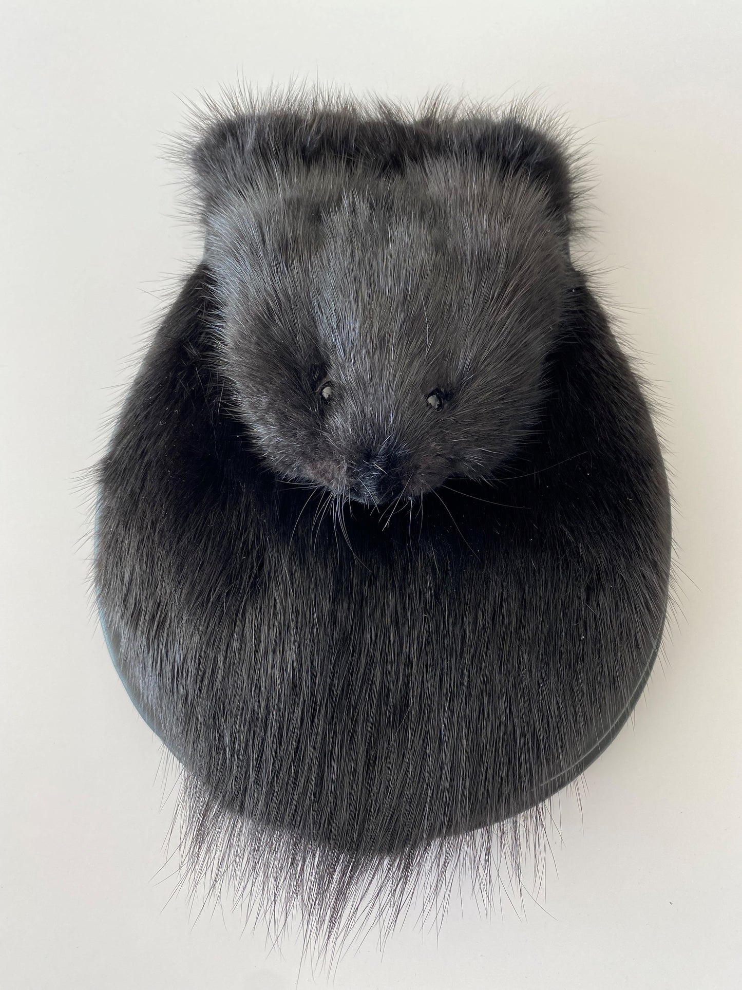 Black Muskrat Full Mask