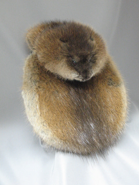 Brown Muskrat Full Mask