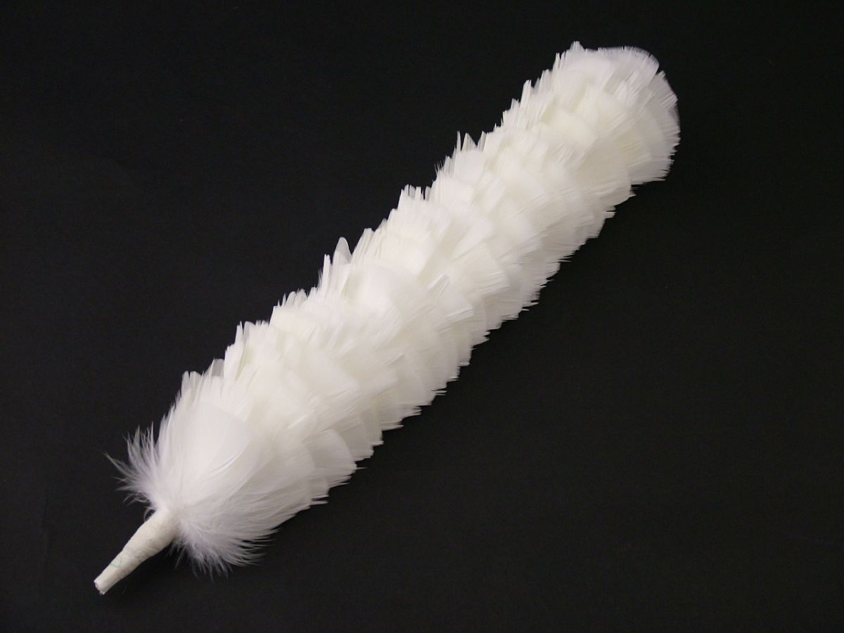 White feathered hackle